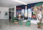 IMG 3955