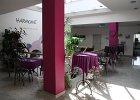 IMG 3992