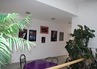 IMG 3993
